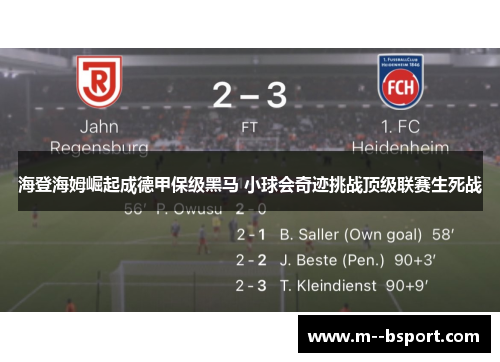 海登海姆崛起成德甲保级黑马 小球会奇迹挑战顶级联赛生死战